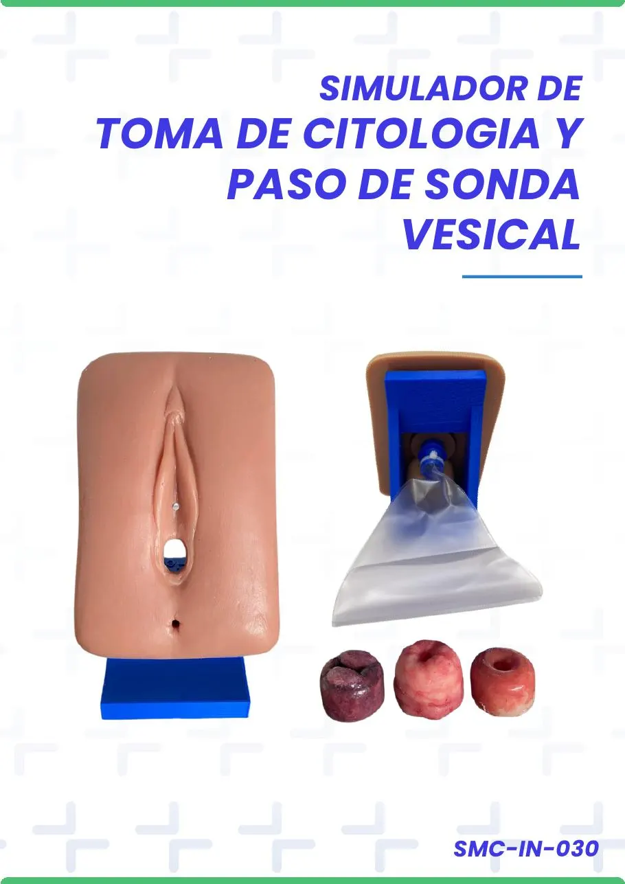 SIMULADOR DE TOMA DE CITOLOGIA Y PASO DE SONDA VESICAL