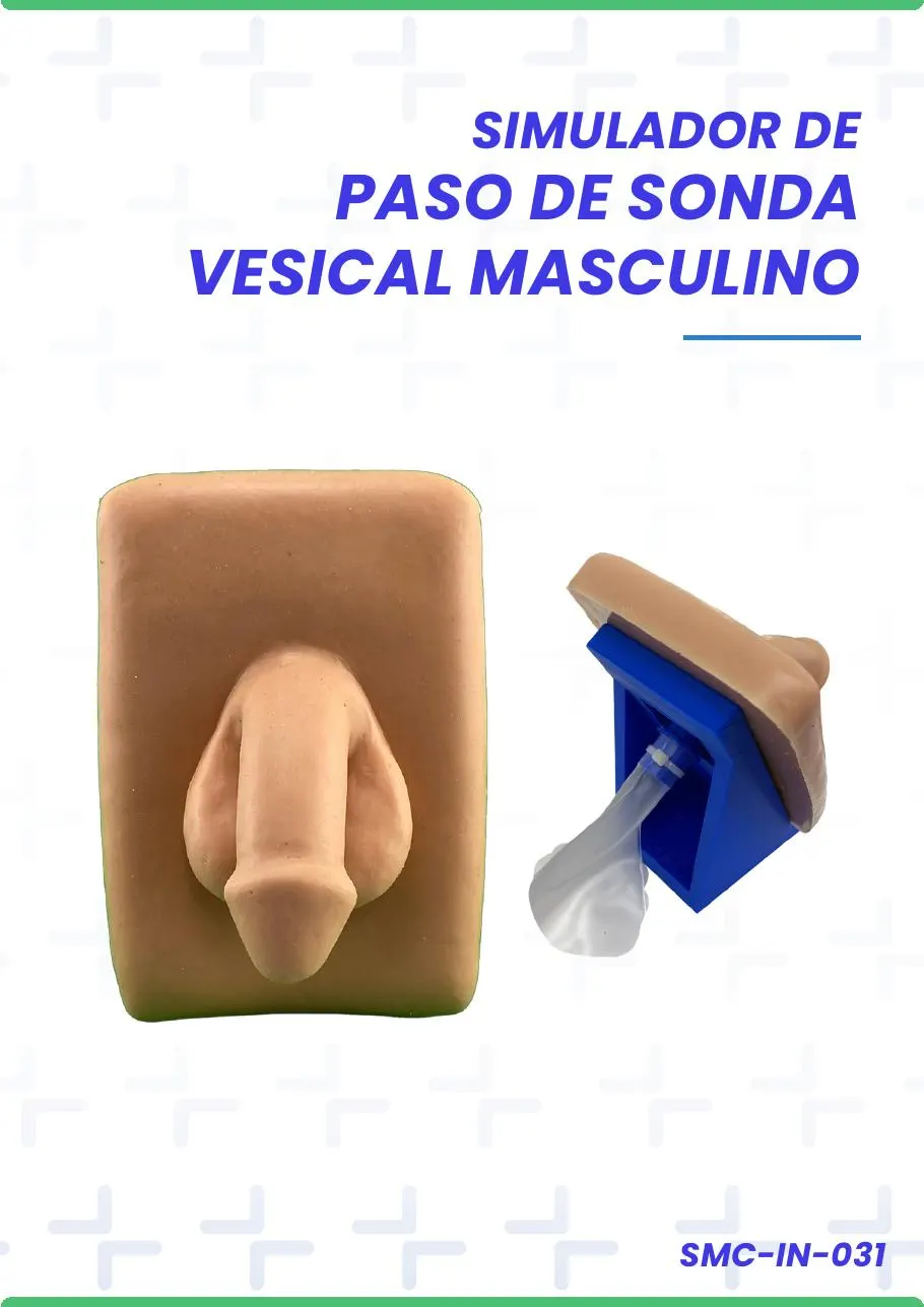 SIMULADOR DE PASO DE SONDA VESICAL MASCULINO
