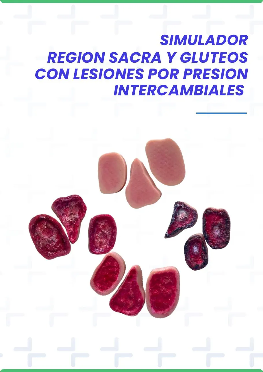 SIMULADOR REGION SACRA Y GLUTEOS CON LESIONES POR PRESION INTERCAMBIALES