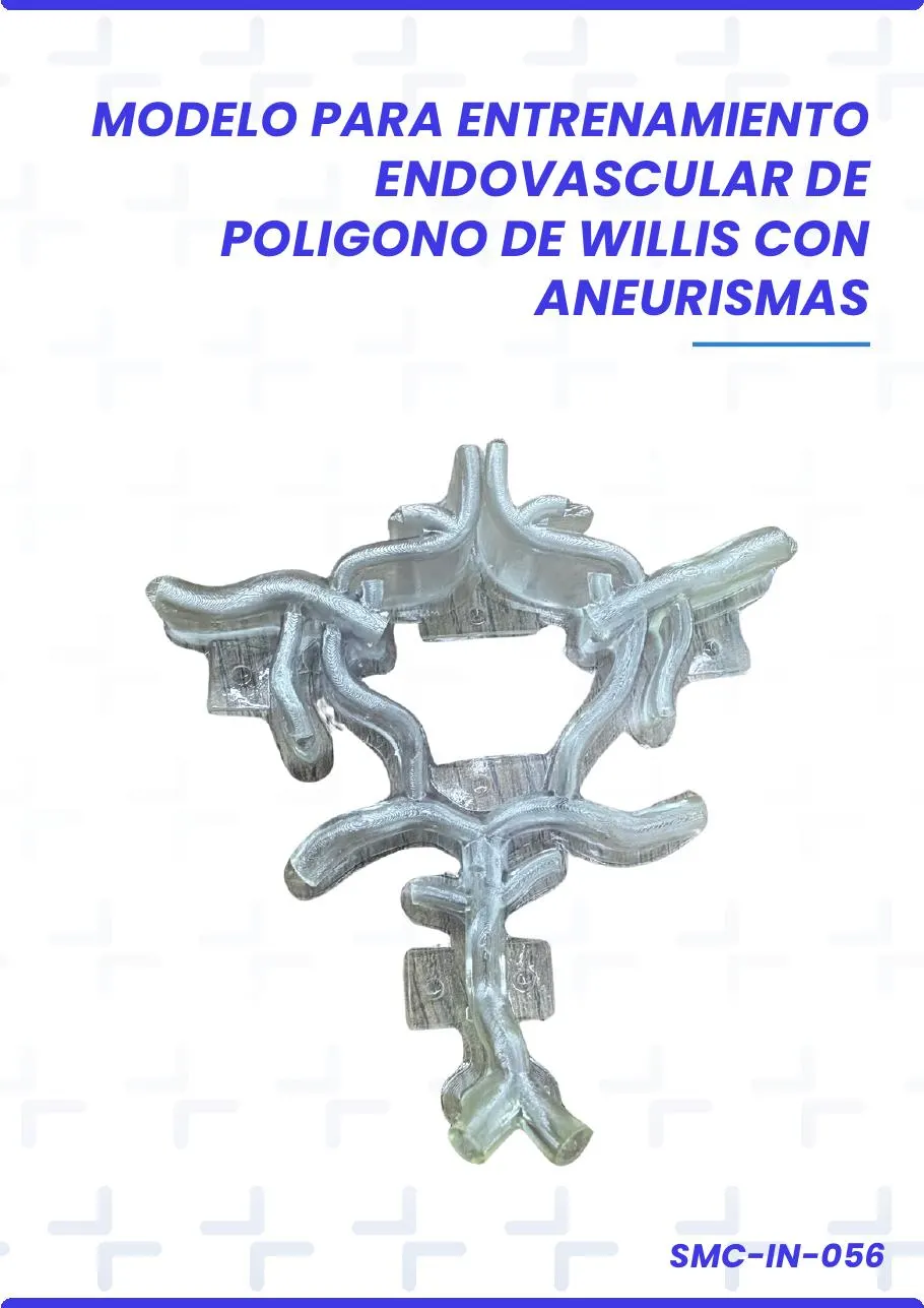 MODELO PARA ENTRENAMIENTO ENDOVASCULAR DE POLIGONO DE WILLIS CON ANEURISMAS