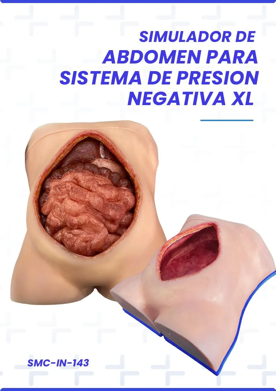 SIMULADOR DE ABDOMEN PARA SISTEMA DE PRESION NEGATIVA XL